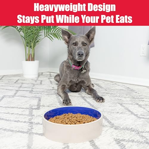 SPOT Standard Crock Dish - Heavy Duty, Non-Slip, Round Ceramic Food/Water Bowl for Pets, Ideal for Medium to Large Dogs or Multiple Animals, Dishwasher Safe - 9.5 in, 8 Cups, (64 Oz) - size: 9.5"