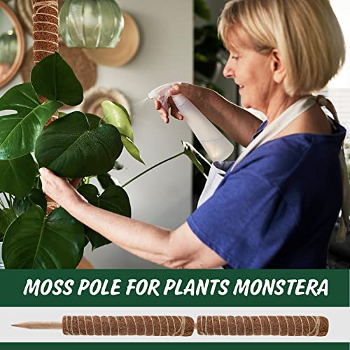 30 Pcs Moss Pole for Plants Monstera 16.5 Inch Coir Poles Bendable Monstera Plant Support with 10 Pcs 6.56 Feet Jute Rope and 6.56 Feet Green Plant Tape for Indoor Outdoor Climbing Plants Growth