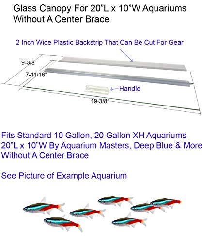 Single Piece Glass Canopy for 10R, 16R, 20XH Gallon Aquariums by Aquarium Masters, AM32010, for 20" Long x 10" Wide Aquarium Masters Aquariums with No Center Brace