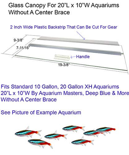 Single Piece Glass Canopy for 10R, 16R, 20XH Gallon Aquariums by Aquarium Masters, AM32010, for 20" Long x 10" Wide Aquarium Masters Aquariums with No Center Brace