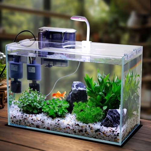Vimvins 5 Gallon Glass Small Fish Tank with Filter Light and Lid, Betta Aquarium Starter Kits - size: 5 Gallon