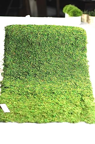 Preserved Moss Runner and Mats (18in x 25ft Runner) - color: 18in X 25ft Runner