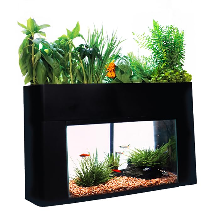 Aquaponics Garden, Self-Sustaining Desktop Aquarium Hydroponics Ecosystem Kit, fits Standard 10 Gallon Aquariums
