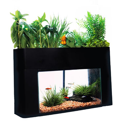Aquaponics Garden, Self-Sustaining Desktop Aquarium Hydroponics Ecosystem Kit, fits Standard 10 Gallon Aquariums