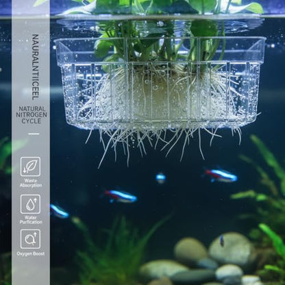 Large Aquarium Plant Holder scalable Top Hanging Fish Tank Plant Holders Cups, Accessories Adjustable, Fish Tank Décor Hangers, Scalable Design for Aquarium Hobbyists