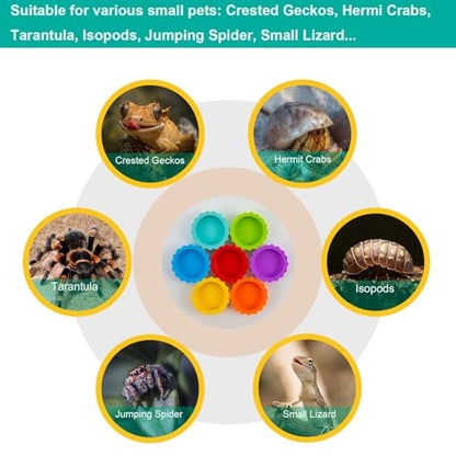 7 Pack Crested Gecko Food and Water Bowl, Eudimysx Reusable Small Reptile Feeding Dish, Gecko Tank Accessories for Hermit Crab, Tarantula, Isopods, Snails and Lizard, Silicone Easy Clean & 7 Colors - color: 7Pack