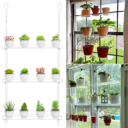 OtNiap Clear Hanging Window Plant Shelves, 2-Pack 3-Tier, 16-Inch Stand | Adjustable Indoor wall plant holder for herbs, microgreens and potted plants. Maximizes window space while displaying plants - size: 2 Pack-3 Tier