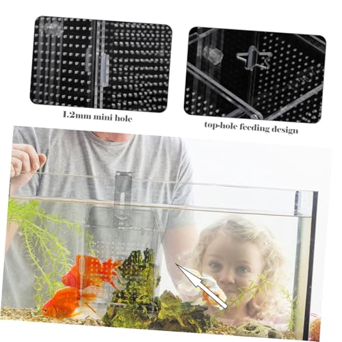 Toddmomy 1set Fish Tank Isolation Box Cups and Hook Acrylic Breeding Holder for Safe Fish Separation Design for Easy Installation and Cleaning