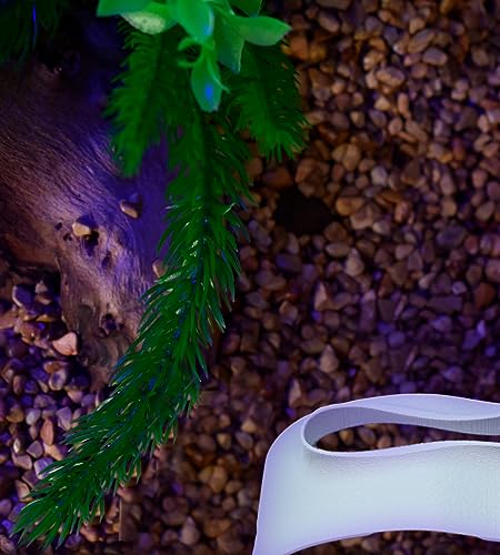 Chatelet REEFSHAPE - Abstract Aquarium Viewing Tunnel | Wavy Design Fish and Shrimp Hideout | Under-Substrate Tunnel | Made in USA (White) - color: White