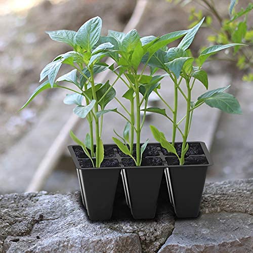 Gardzen 30 Pack 6-Cell Seed Starting Tray for Seedlings, Plant Starter Trays with Drainage Holes for Seed Germination, 5.4x3.7 inches, Black | Plant Starter Trays for Seed Germination and Seedlings, 5.4"x3.7" Growing Cells with Drainage Design for Healthy