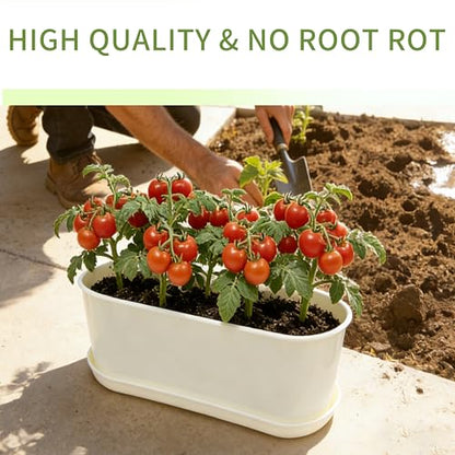 5-Pack White Herb Planter Box with Drip Trays, 8.5 Inch Small Oval Window Planters for Kitchen Sill, Indoor Outdoor, Perfect for Basil, Mint, Succulents, Flowers - size: 5 Pack