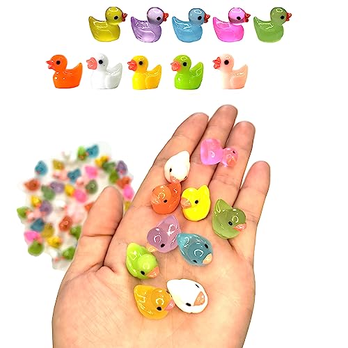 Cidinge 100pcs Mini Luminous Ducks & Resin Ducks for Micro Garden & Dollhouse Decor - style: 50pcs Resin Duck and 50pcs Luminous Duck