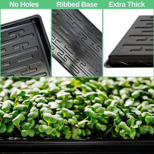 Shallow 1020 Nursery Flat Trays -10 Pack, 1.8" Height, Specialized for Holding 72-Cell Plug Seedling Trays, No Holes, Ideal for Seed Starting and Planting - size: shallow tray 10 pack