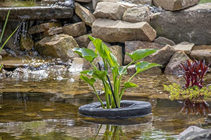 PondH2o 10" Round Floating Aquatic Water Garden Pond Planter Baskets, 2 Pack, Floatable Aquatic Water Garden Pond Plant Flower Islands for Ponds and Water Features | Value Multi-Pack