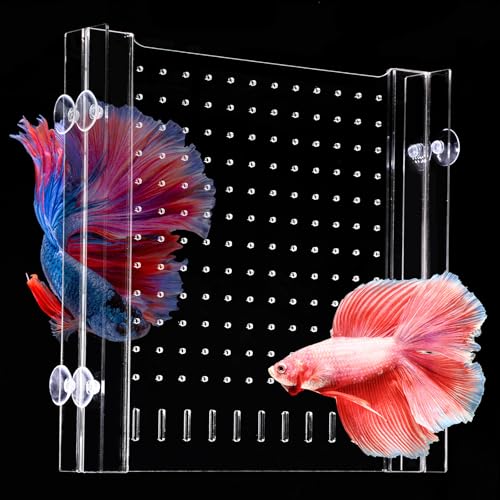 Aquarium Divider with Suction Cup, Adjustable Acrylic Fish Tank Separator, Clear Aquarium Isolation Board Divider, Suitable for 20 Gallon Fish Tank Sizes Listed Below (11''*11'') - size: 11''*11''