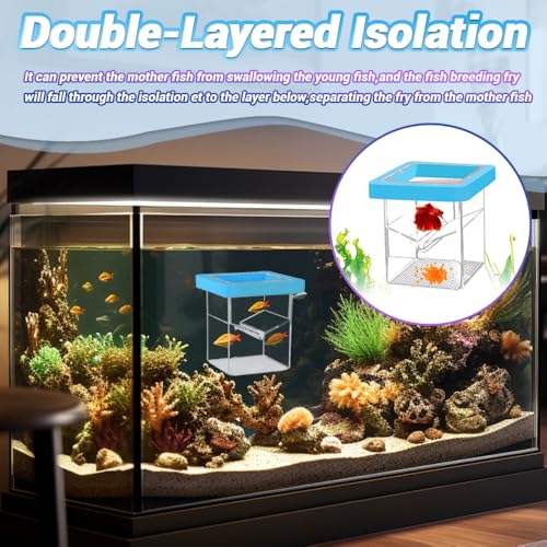 Breeder Box for Fish Tank,Isolation Breeding Box with Layered Design,Floating Fish Breeder Box for Aquarium,Adsorption and Suspension,Blue