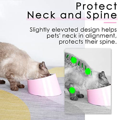 SUPERDESIGN Anti-Vomiting 15° Slanted Pet Bowl, S/0.5 Cup, Pink | 15° Tilted, Anti-Vomit & Neck Relief, Non-Slip Base, Detachable Stainless Steel Liner, Dishwasher Safe, for Cats & Dogs - color: Pink, size: S/0.5 Cup