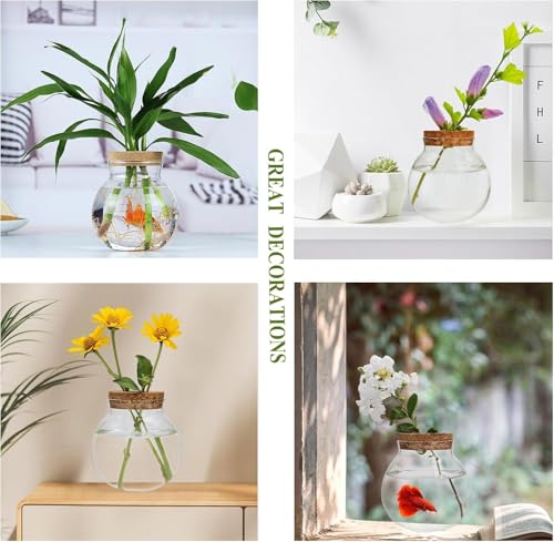 Small Fish Bowl, Cute Betta Tank, High Clear Fish Glass Bowl, Desktop Mini Aquarium Vases for Betta Fish and Hydroponic Plants, Plants Propagation Station, Home Office Table Decorations