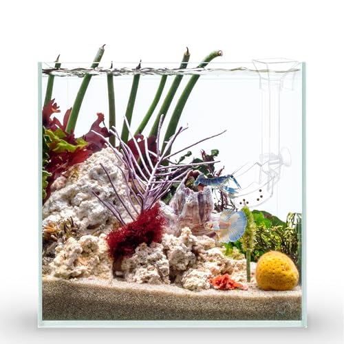 Aquarium Fish Shrimp Feeding Dish Set - Clear Feeder Tube and Dish With Cleaning Brush and Measuring Spoon for Shrimp - Prevents Food Scattering - Supplies for Small Fish - size: Small