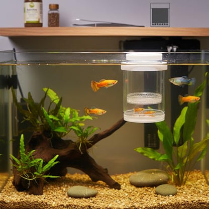 Floating Fish Isolation Box, PP Plastic in-Tank Separator for Fish Isolation (1 PC)