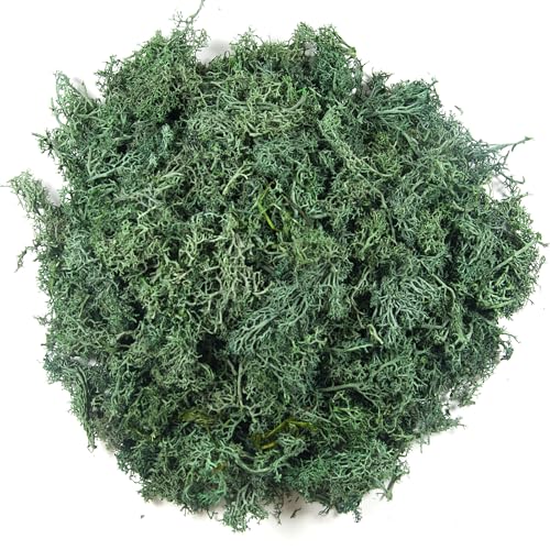 3.5oz Fake Grass Green Moss for Crafts | Realistic Artificial Reindeer Moss for Art, Floral Project, Table Centerpieces, Fairy Garden Accessories, Wall Decor - color: Grass Green