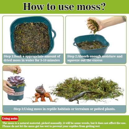 Sukh Sphagnum Moss for Reptiles - Terrarium Reptiles Moss Green Dried Peat Moss Habitat Bedding Moss for Snakes Turtle Frog Gecko and Other Reptiles Substrate (30, Ounces) | Habitat Bedding for Gecko, Snake, Turtle, Frog, Bearded Dragon, Jumping Spider, C