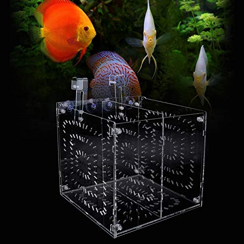 Acrylic Fish Breeding Box 20x20x20cm Mesh Rearing Trap for Baby Shrimp Clownfish Guppy, Isolation Board Prevents Adult Attack, Adjustable Suction Cup Fixation for Aquarium Hatchery (20MC - size: 20MC *20CM*20CM