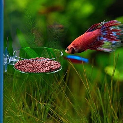 Aquarium Glass Feeder Shrimp Feeding Dish Round Clear Fish Tank Food Tray Container Prevent Food Spilling with Suction Cup, 60mm - size: 60mm