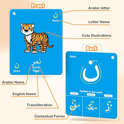 48 Arabic Toddler Flash Cards, Baby Cognitive Flashcards for Kids, Learn Arabic Letters, Number, Color, Shape & Sight Words, Educational Toys with English Transliteration for Preschool Kindergarten