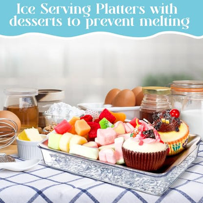 Baderke 6 Set 8.7x5.5'' Small Chilled Serving Tray for Parties with Tongs, Ice Chilled Platter Cold Serving Dish for Charcuterie Dip Fruit Seafood Vegetable Salad Appetizer Shrimp Cocktail(Sliver)