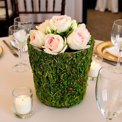 SuperMoss (55204 Carmel Deco Basket, Fresh Green, 10in Drop in - size: 10" Drop-in