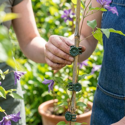 Plant Clips 50 Pcs, Orchid Support Clips, Flower Vine Garden Clips for Climbing Plants