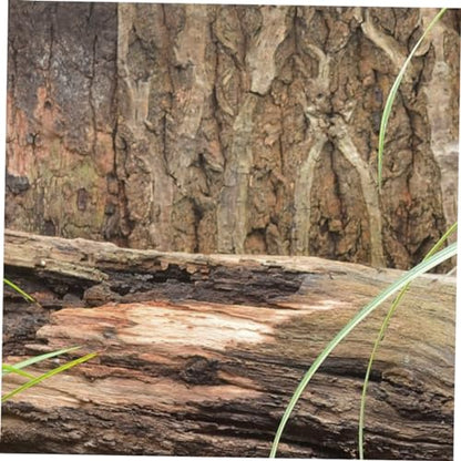 Abaodam Cork Bark Reptile Background for Terrarium Decor Natural Habitat Mat for Gecko Tank Climbing Surface Enhances Visual Depth and Water Quality Safety