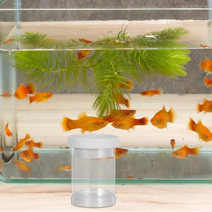 Floating Fish Breeding Isolation Box and Egg Incubator System, Small White Aquarium Hatchery Tank Divider for Guppy Fry Nursery and Fish Tank Separation