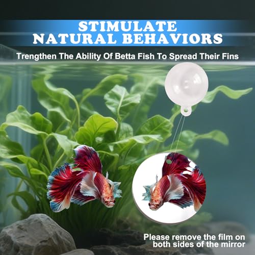 Betta Fish Toys, 2 PCS Fish Exercise Ring and Nitrifying Balls Set, Betta Mirror Toy Set, Feeding Ring with Suction Cup, Fishing Tank Accessories for Gifts (Red) - color: Red