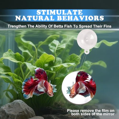 Betta Fish Toys, 2 PCS Fish Exercise Ring and Nitrifying Balls Set, Betta Mirror Toy Set, Feeding Ring with Suction Cup, Fishing Tank Accessories for Gifts (Red) - color: Red