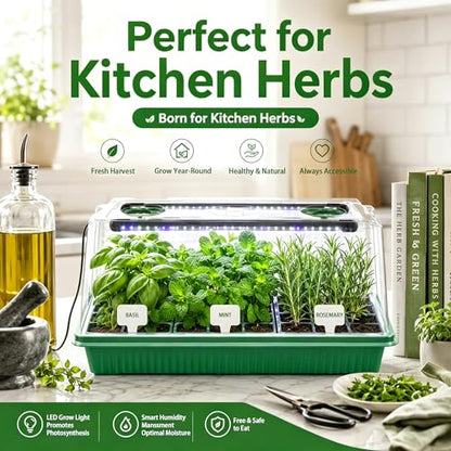 Seed Starter Tray with Timed Grow Light, 2 Pack 80 Cells Plant Starter Tray Seedling Starter Kit with Humidity Domes Base Indoor Mini Greenhouse Plant Germination Trays for Seeds Growing Starting