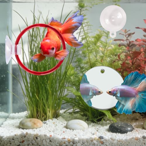 Betta Fish Toys, 2 PCS Fish Exercise Ring and Nitrifying Balls Set, Betta Mirror Toy Set, Feeding Ring with Suction Cup, Fishing Tank Accessories for Gifts (Red) - color: Red