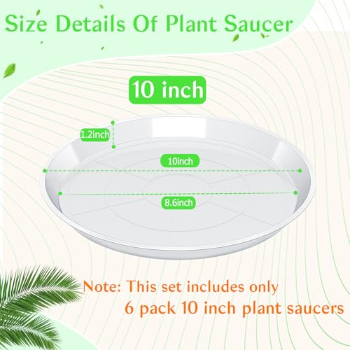 FUIJOL 6 Pack Clear Plant Saucer, Durable Plant Drip Trays Saucers for Pots, No Holes Water Catcher Trays for Indoor Outdoor Planter, Sturdy Base Plate (10", Clear) - size: 10"-6Pack