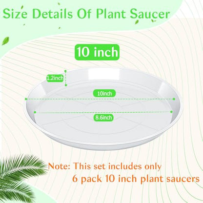 FUIJOL 6 Pack Clear Plant Saucer, Durable Plant Drip Trays Saucers for Pots, No Holes Water Catcher Trays for Indoor Outdoor Planter, Sturdy Base Plate (10", Clear) - size: 10"-6Pack