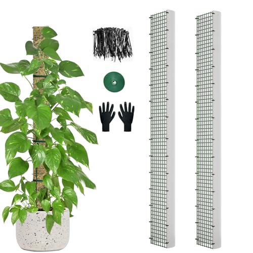 60" Metal Moss Pole, D Shape Sphagnum Moss Pole, Moss Poles for Climbing Plants, Monstera, Indoor Climbing Plants (2Pcs 60") - style: 2Pcs 60"