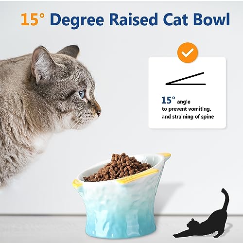 Tioncy 2 Pcs Raised Tilted Ceramic Cat Food Bowl Fish Shape Cute Elevated Slanted Shallow Angled Cat Dish Non Slip Feeder Bowl for Anti-Vomiting and Whisker Fatigue(Blue, Green) - color: Blue, Green