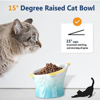 Tioncy 2 Pcs Raised Tilted Ceramic Cat Food Bowl Fish Shape Cute Elevated Slanted Shallow Angled Cat Dish Non Slip Feeder Bowl for Anti-Vomiting and Whisker Fatigue(Blue, Green) - color: Blue, Green