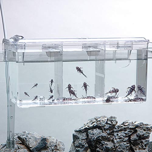 External / Hang On Plastic Aquarium Fish Breeding Box Satellite L (new)