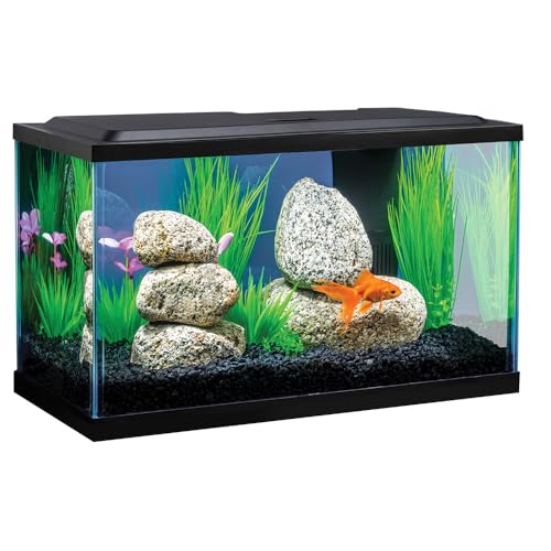Tetra Goldfish LED Kit 10 Gallons, Complete Aquarium Set with Lighting and Filter