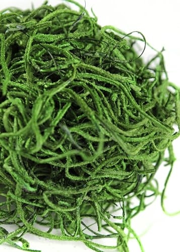 SuperMoss (26903) Preserved Spanish Moss – Decorative Moss for Crafts, Potted Plants, Fairy Gardens, Vase Filler, Floral Arrangements & Indoor/Outdoor Garden Projects, 120 cu in, Hunter