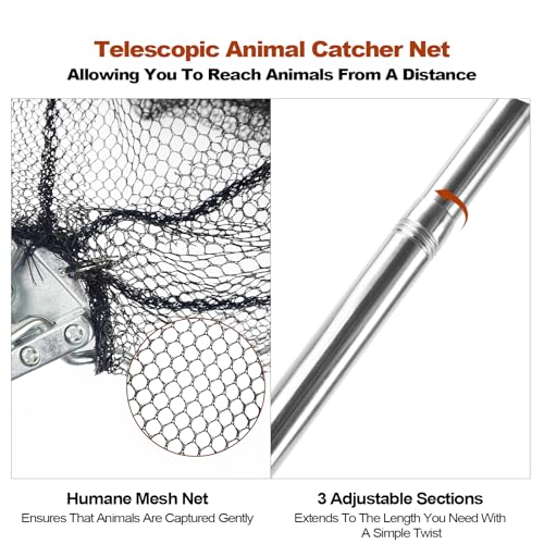 Chicken Catching Net, Animal Catch with Extendable 46In Long Handle | Landing Nets for Bird, Ducks, Cat, Dogs, Frog, Fishnet, Chicken Catcher for Poultry Supplies - Stainless Steel