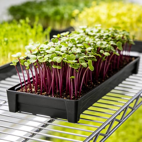 5 Pack Plastic Window Sill Saucer, Rectangular Windowsill Plant Pot Trays with Removable Drainage Hole, Thick Plant Saucer Tray for 2.8 inch Flower Seedling Pots (17.5"x3"x1.5") - size: 17.5"x3"x1.5"