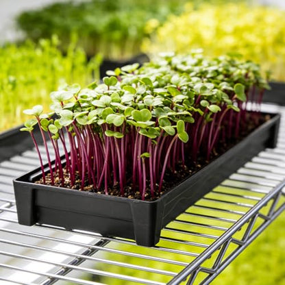 5 Pack Plastic Window Sill Saucer, Rectangular Windowsill Plant Pot Trays with Removable Drainage Hole, Thick Plant Saucer Tray for 2.8 inch Flower Seedling Pots (17.5"x3"x1.5") - size: 17.5"x3"x1.5"
