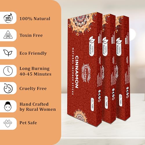Raajsee Cinnamon Incense Sticks 100gm, Charcoal Free - !00% Natural - Organic Non-Toxic Insence Sticks, Inscents Made with Upcycled Flowers, Meditation Gifts – Spiritual Cleansing - color: Cinnamon